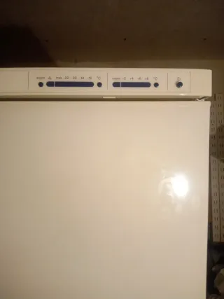 Nevera blanca con congelador