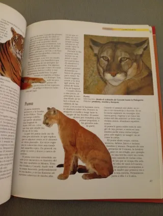 Mamíferos. Aprender es fácil