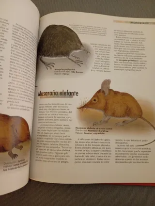 Mamíferos. Aprender es fácil