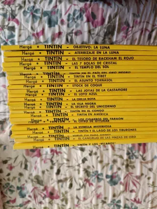 Colección 23 cómics Tintín.