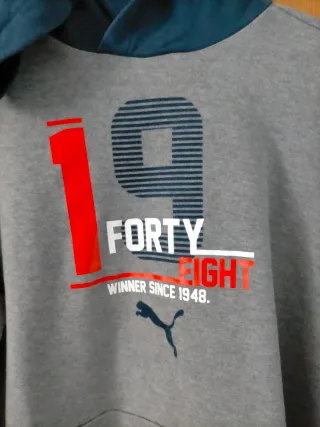 Sudadera Puma juvenil Gris y Azul