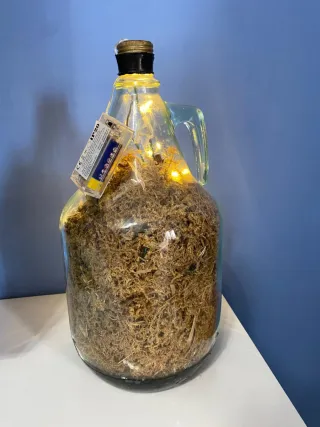 Presepe artigianale in damigiana