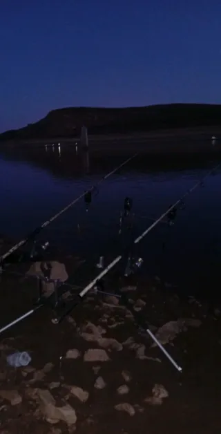 Attrezzatura per pesca carpa in vendita