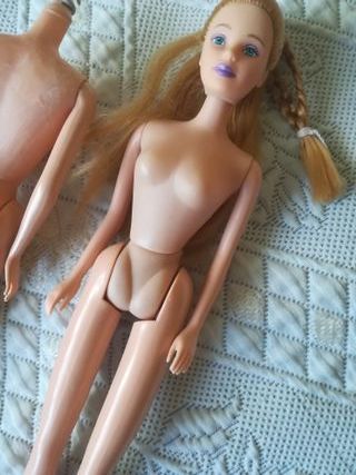 Corpos Bonecas para reaproveitamento