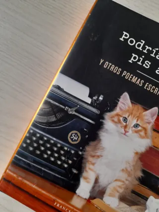 SOLO ENVÍO Libros poemas gatos