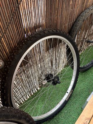 Bicicletas Rockrider y Indur