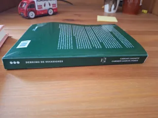 Manual de derecho civil sucesiones Carlos Lasarte