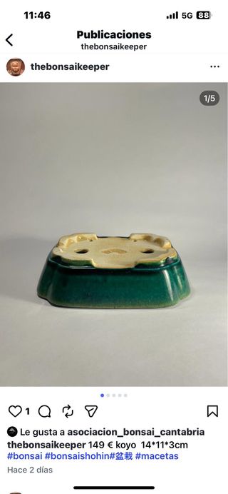 Maceta bonsái cerámica verde y beige