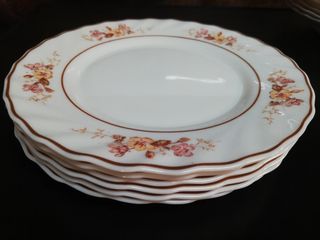 Lote 18 platos Arcopal