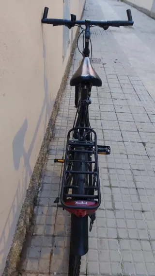 Bicicleta Paseo Winora