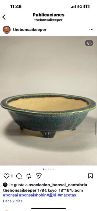 Maceta Bonsái Koyo Cerámica Ovalada