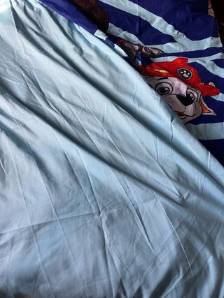 Funda Nórdica Patrulla Canina