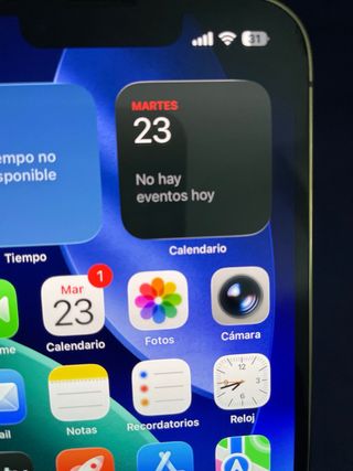 iPhone 13 Pro (No SIM)