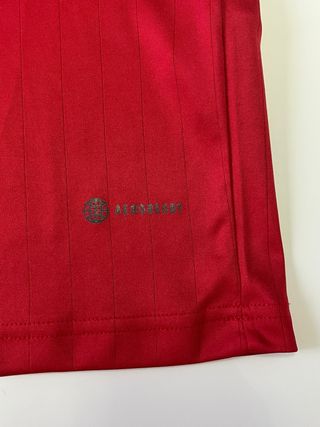 Camiseta original Manchester United 2022 Pogba 6