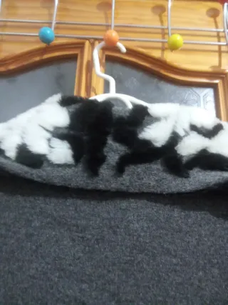 Capa de invierno para mujer