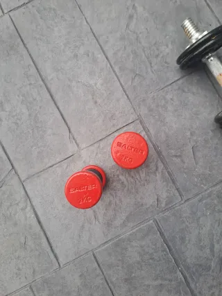 Salter Mancuernas Pesas Gimnasio
