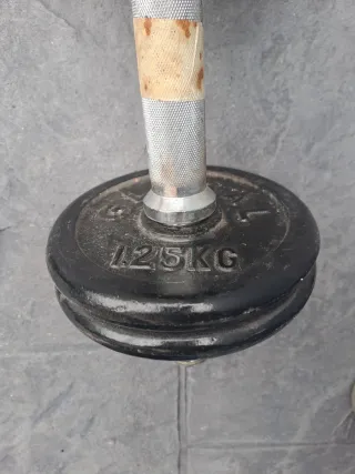 Salter Mancuernas Pesas Gimnasio