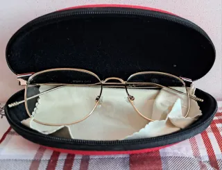 Occhiali finti con custodia