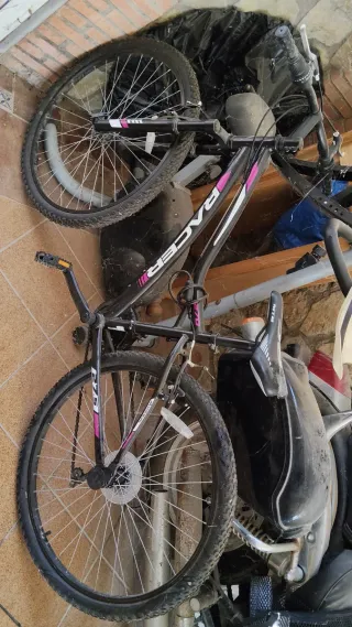 Bicicleta Racer niña/mujer