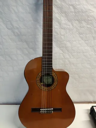 Guitarra Electroacústica Marrón iznaola