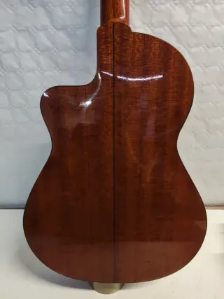 Guitarra Electroacústica Marrón iznaola