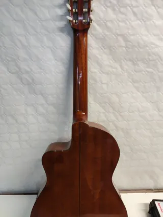 Guitarra Electroacústica Marrón iznaola