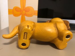 Cane Bassotto Thun 2019-2020