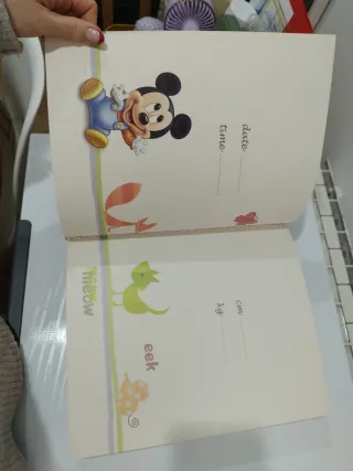 Álbum Fotos Minnie Mouse Rosa 25x30 cm