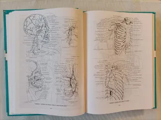 Diccionario enciclopédico ilustrado de medicina.