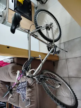 Bicicleta de montaña plateada