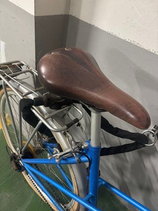 Bicicleta BH Gacela Pro Azul