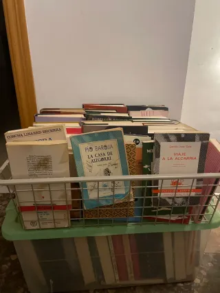 Lote de libros y novelas variados