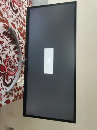 Monitor LG 29 Negro/Plateado