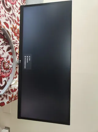 Monitor LG 29 Negro/Plateado