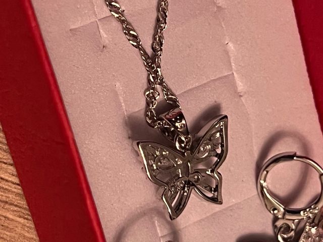 Conjunto Mariposa Plata con Circonitas