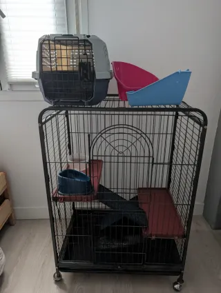 Jaula para roedor o hurón y accesorios