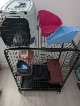 Jaula para roedor o hurón y accesorios