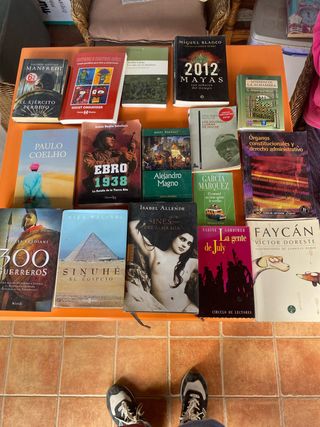 Lote de Libros