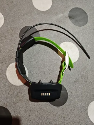 4 Collares Garmin TT15 Localizador + Adiestramient