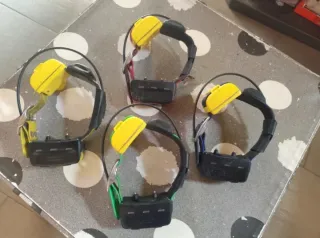 4 Collares Garmin TT15 Localizador + Adiestramient