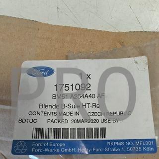 MOLDURA PUERTA TRASERA DERECHA FORD FOCUS NUEVO