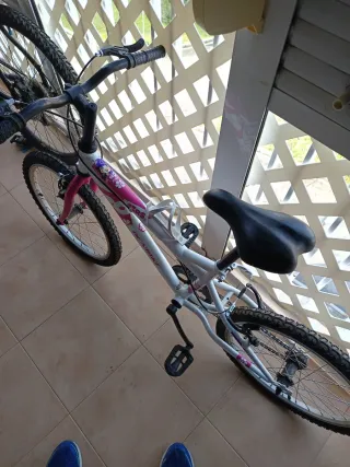 Bicicleta niña 20 DENBIKE
