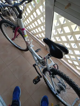 Bicicleta niña 24 Denbik