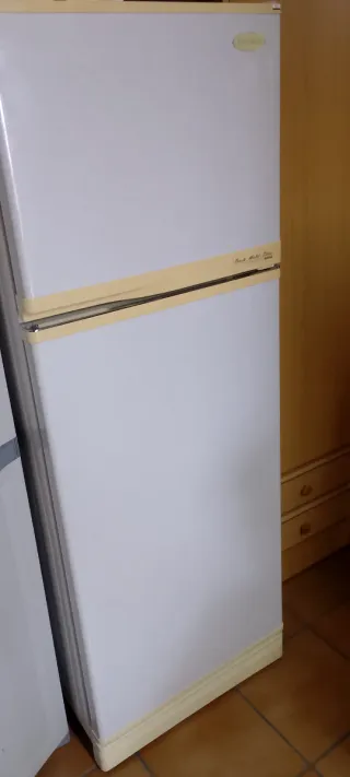 Nevera con congelador