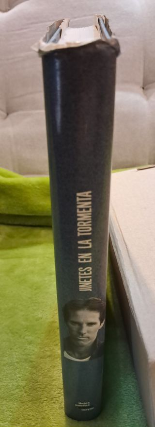 JINETES EN LA TORMENTA. MIS AÑOS EN LOS DOORS.
