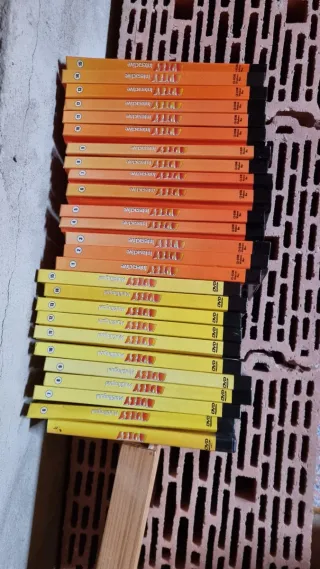 Colección Muzzy DVD Multilingual