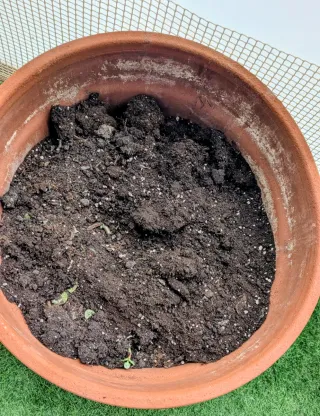 Maceta cerámica 50cm diámetro