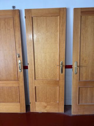 Hojas de puerta madera pino melis