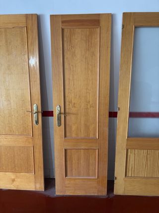 Hojas de puerta madera pino melis