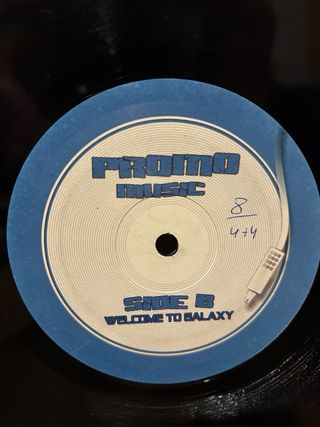 Vinilo Promo Let The Night The Blame